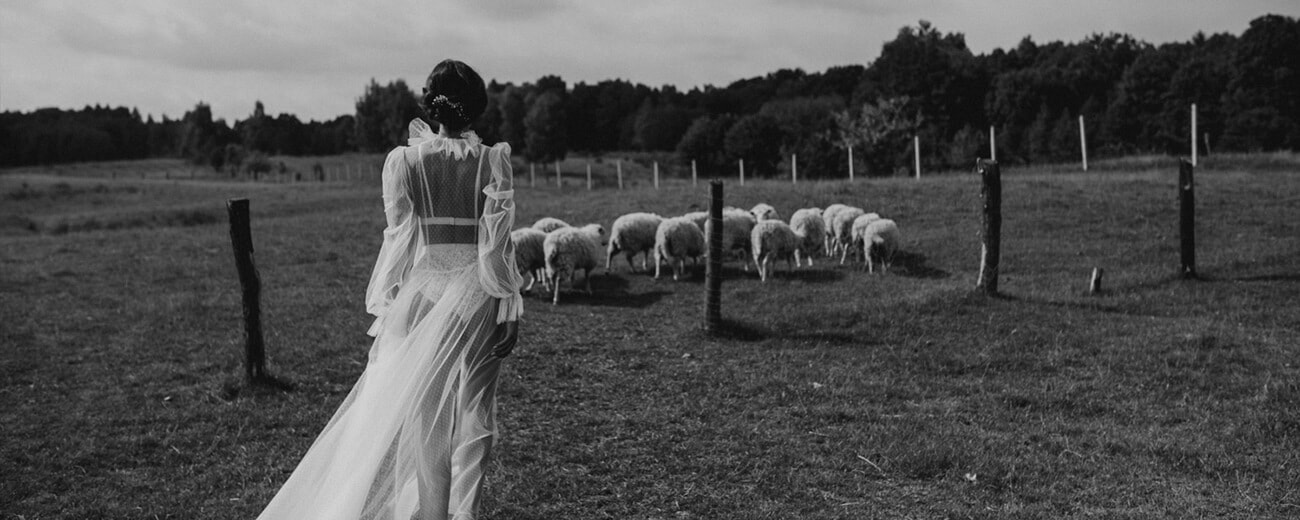 panna młoda w przeźroczystej sukni ślubnej na łące z owcami